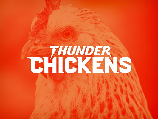 Logo Design / Thunder Chickens