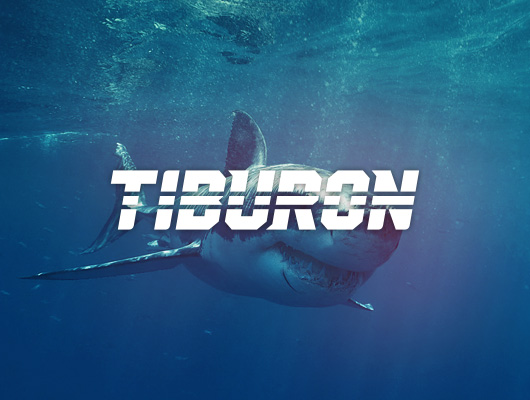 Logo Design / Tiburon